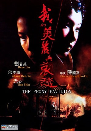 Wo de mei li yu ai chou - Taiwanese DVD movie cover (thumbnail)