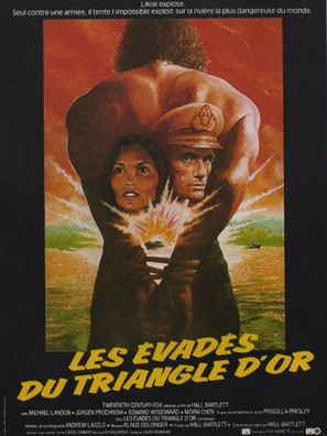 Love Is Forever - French Movie Poster (thumbnail)