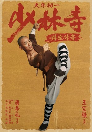 Rising Shaolin: The Protector - Chinese Movie Poster (thumbnail)