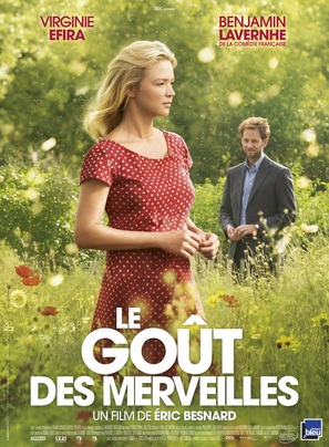 Le go&ucirc;t des merveilles - French Movie Poster (thumbnail)