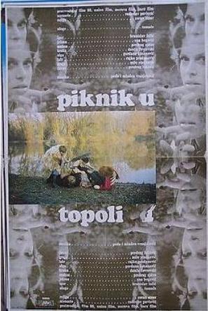 Piknik u Topoli - Yugoslav Movie Poster (thumbnail)
