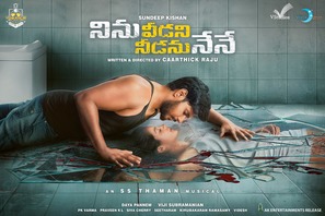 Ninu Veedani Needanu Nene - Indian Movie Poster (thumbnail)