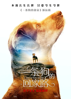 A Dog&#039;s Way Home - Chinese Movie Poster (thumbnail)