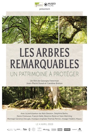 Les arbres remarquables - Un patrimoine &agrave; prot&eacute;ger - French Movie Poster (thumbnail)