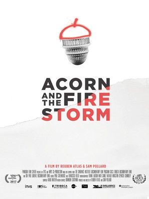 ACORN and the Firestorm - Movie Poster (thumbnail)