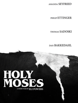 Holy Moses - Movie Poster (thumbnail)