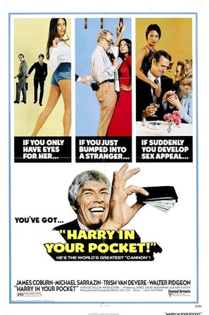 Harry in Your Pocket - Movie Poster (thumbnail)