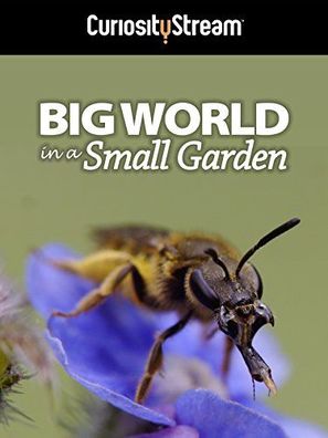 Big World in a Small Garden - Movie Cover (thumbnail)