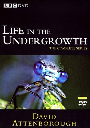 &quot;Life in the Undergrowth&quot; - DVD movie cover (thumbnail)