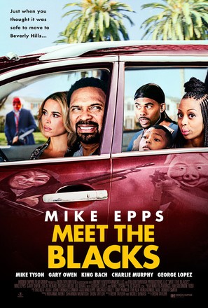 Meet the Blacks - Movie Poster (thumbnail)