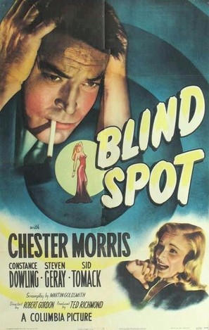 Blind Spot - Movie Poster (thumbnail)
