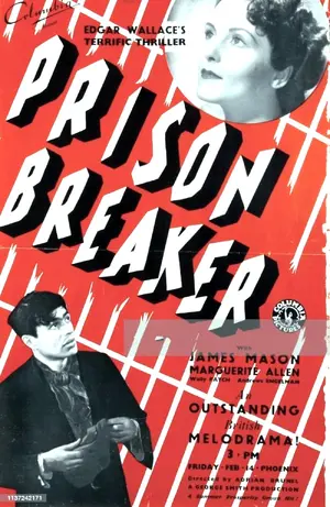Prison Breaker Poster