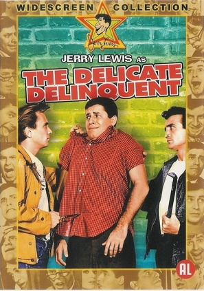 The Delicate Delinquent - Dutch DVD movie cover (thumbnail)