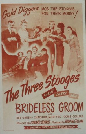 Brideless Groom - Movie Poster (thumbnail)