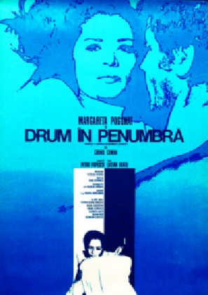 Drum &icirc;n penumbra - Romanian Movie Poster (thumbnail)