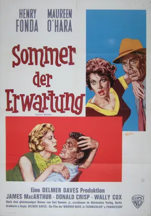 Spencer's Mountain Poster