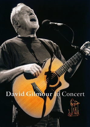 David Gilmour in Concert - Movie Cover (thumbnail)