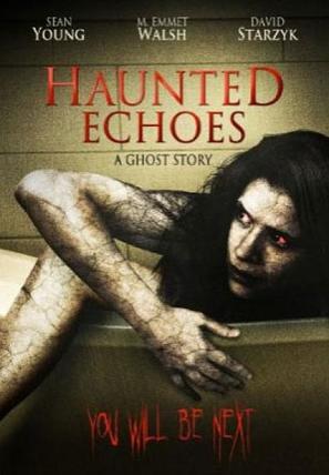 Haunted Echoes - DVD movie cover (thumbnail)