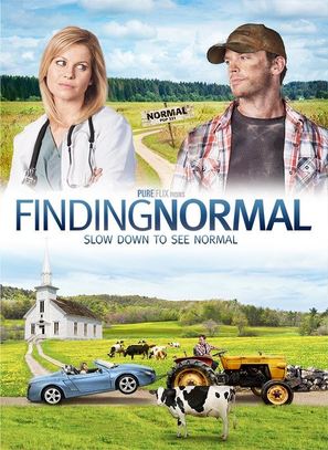 Finding Normal - DVD movie cover (thumbnail)