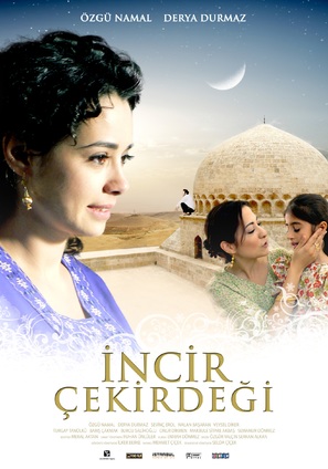 Incir &ccedil;ekirdegi - Turkish Movie Poster (thumbnail)