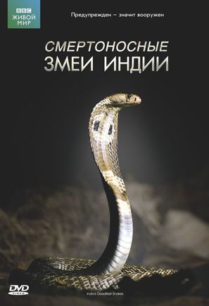 &quot;The Natural World&quot; - Russian DVD movie cover (thumbnail)