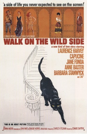 Walk on the Wild Side - Movie Poster (thumbnail)