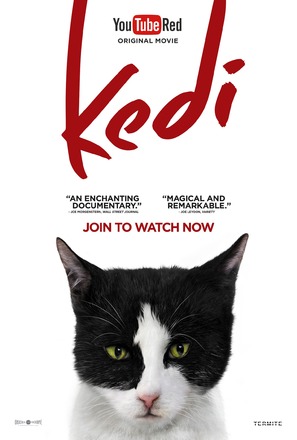 Kedi - Movie Poster (thumbnail)