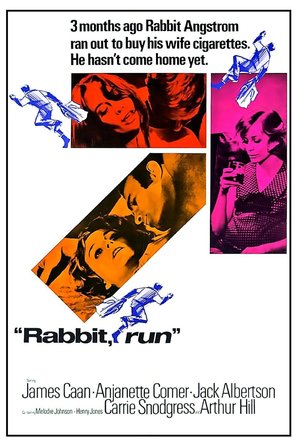 Rabbit, Run - Movie Poster (thumbnail)