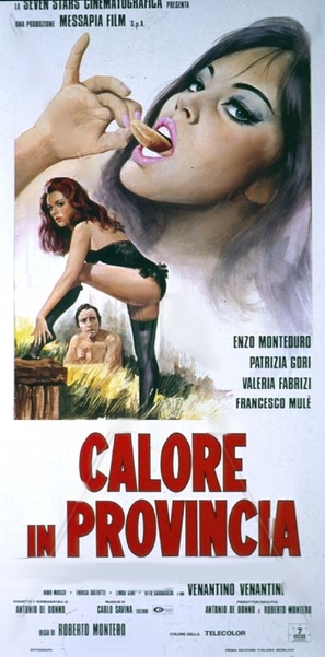 Calore in provincia - Italian Movie Poster (thumbnail)