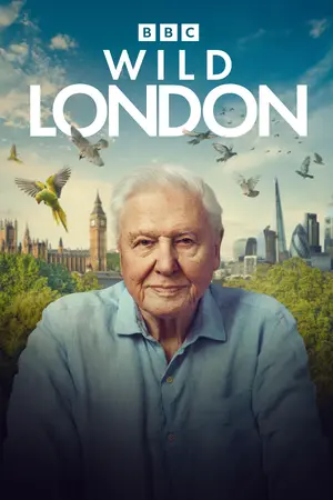 Wild London Cover