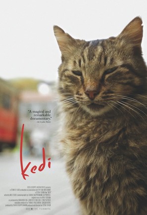 Kedi - Canadian Movie Poster (thumbnail)