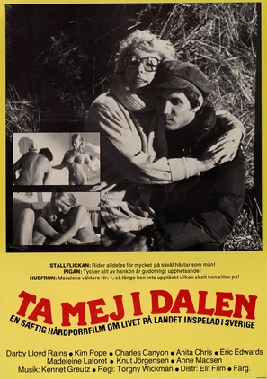 Ta mej i dalen - Swedish Movie Poster (thumbnail)