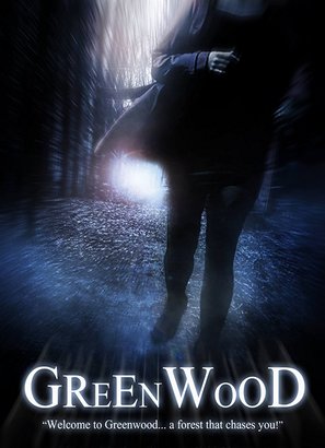 Missing in Greenwood - Irish Movie Poster (thumbnail)