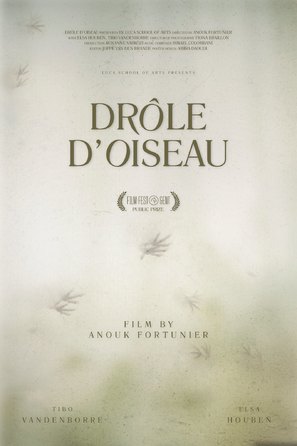 Dr&ocirc;le d&#039;Oiseau - Belgian Movie Poster (thumbnail)