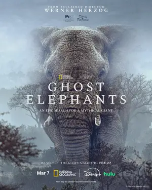 Ghost Elephants Poster