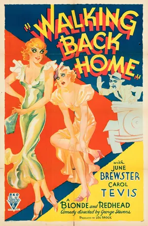 Walking Back Home Poster