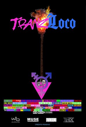 Tranzloco - Movie Poster (thumbnail)