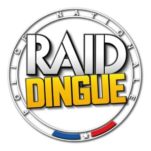 Raid dingue - French Logo (thumbnail)