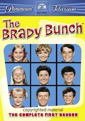 &quot;The Brady Bunch&quot; - DVD movie cover (thumbnail)