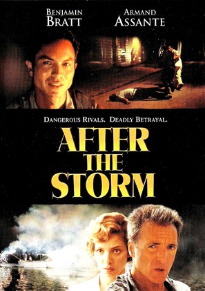 After the Storm - DVD movie cover (thumbnail)