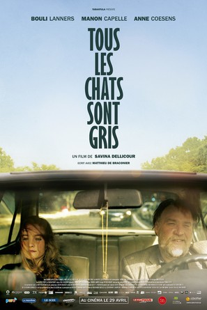 Tous les chats sont gris - Belgian Movie Poster (thumbnail)