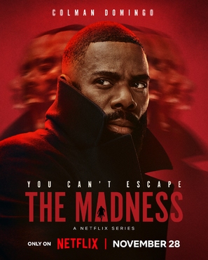 The Madness - Movie Poster (thumbnail)