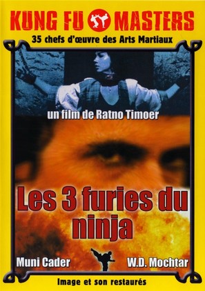 Revenge of the Ninja - French Movie Cover (thumbnail)