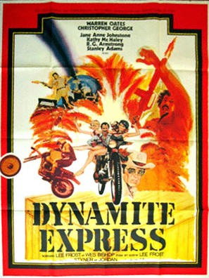 Dixie Dynamite - French Movie Poster (thumbnail)