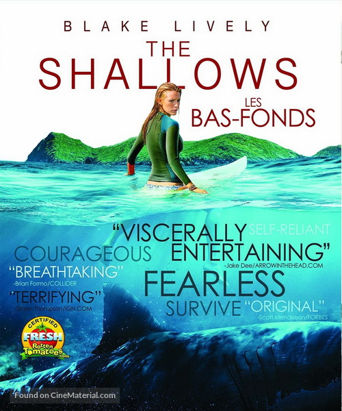 the shallows full movie with english subtitles
