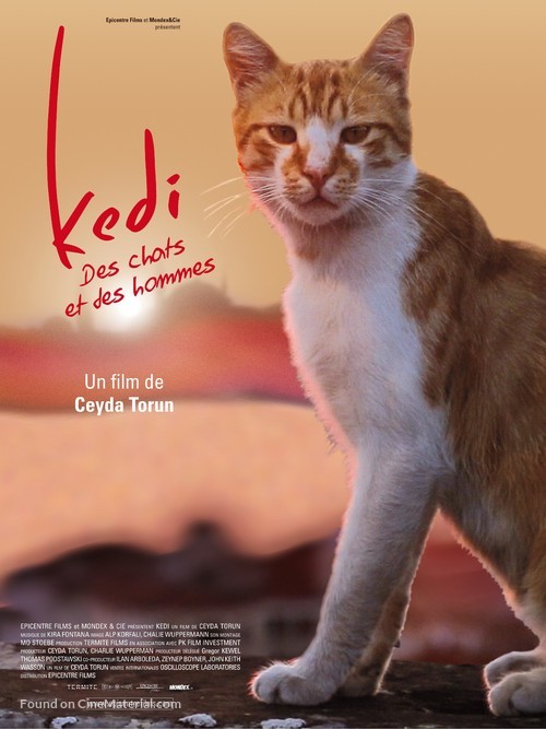 Kedi French movie poster
