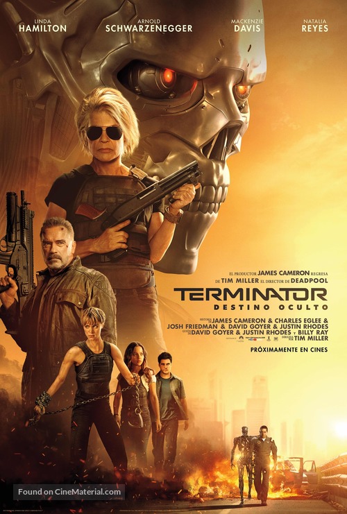 terminator-dark-fate-argentinian-movie-poster.jpg