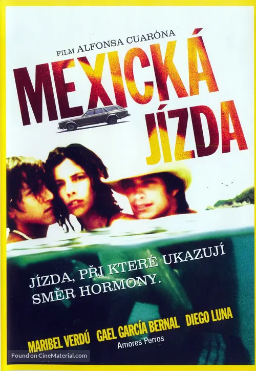 y-tu-mama-tambien-slovak-dvd-cover.jpg