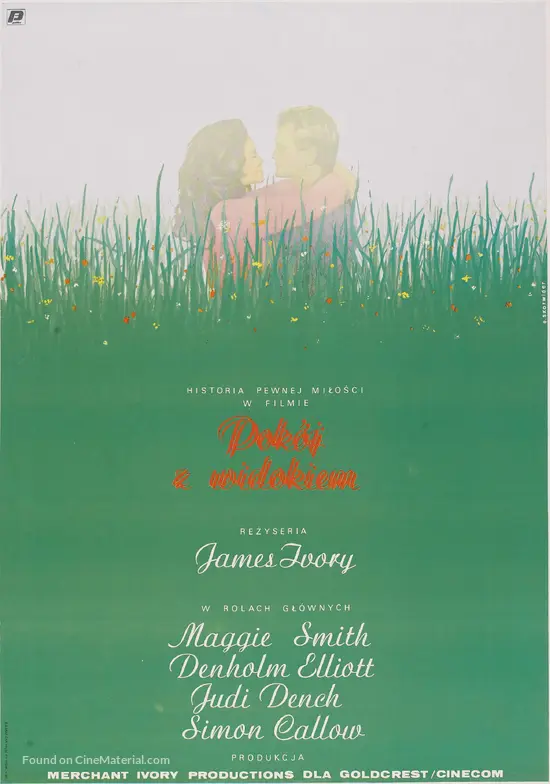 A Room With A View 1985 Polish Movie Poster