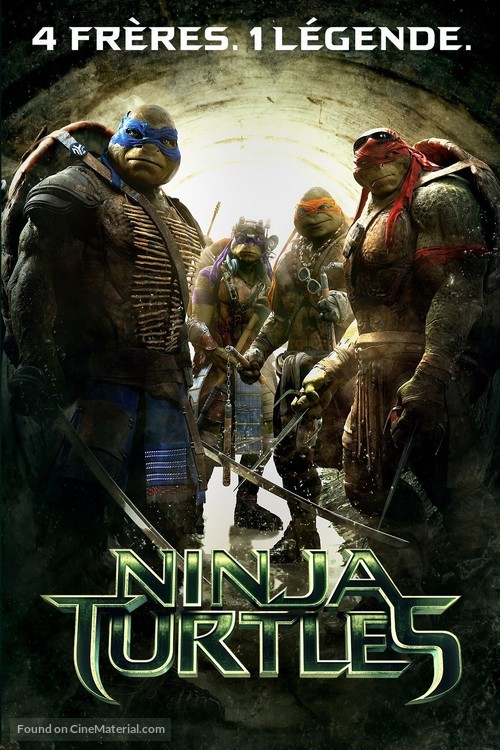 Teenage Mutant Ninja Turtles French movie cover